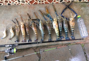 คันเบ็ดตกกุ้ง SUMO LOBSTER 150:: 2 ท่อน ความยาว 1.5 เมตร (ของหมดชั่วคราว)