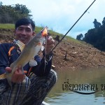เทคนิคการตกปลากด