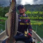 เชี่ยวหลาน ในวันฝนพรำ