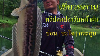 ตกปลาเขื่อนเชี่ยวหลาน